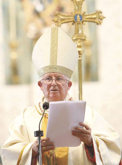 “Me encuentro con vosotros para serviros” Texto íntegro de la homilía del cardenal Cañizares en la misa de su toma de posesión