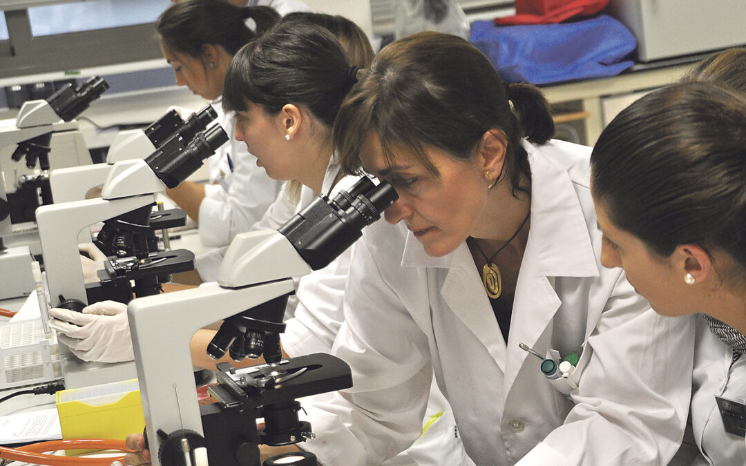 Sobre la Universidad Católica de Valencia Reflexiones e indicaciones del  Cardenal sobre la  UCV