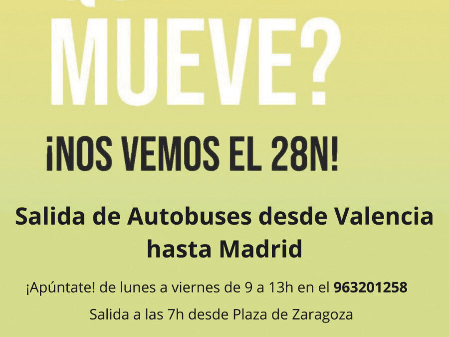 Fletan autobuses en Valencia para ir a la concentración provida en Madrid ‘Cada vida importa’, el próximo domingo 28 de noviembre