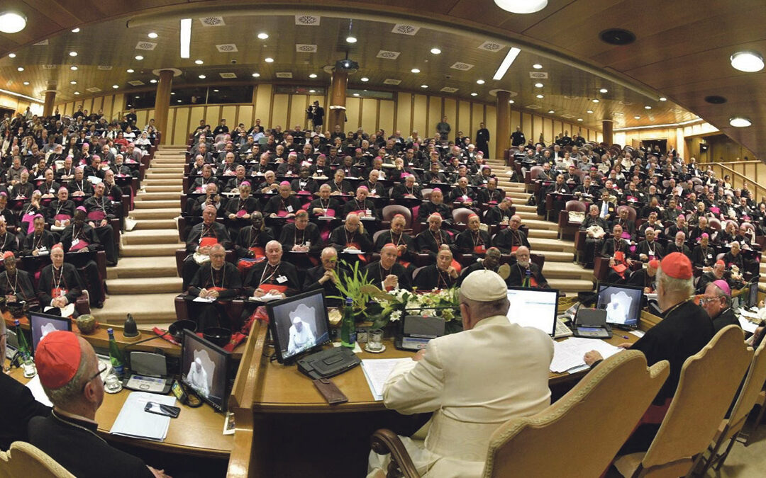 Religiosos y laicos, con voz y voto en el próximo Sínodo de los Obispos  Representantes valencianos de laicos y religiosas analizan la decisión del papa Francisco